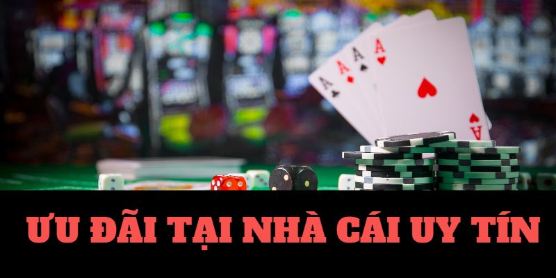 Cuộc sống của người dịu dàng