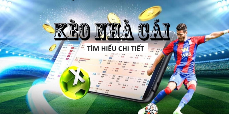 Cập Nhật Chi Tiết Phiên Bản 8.13 Mới Nhất
